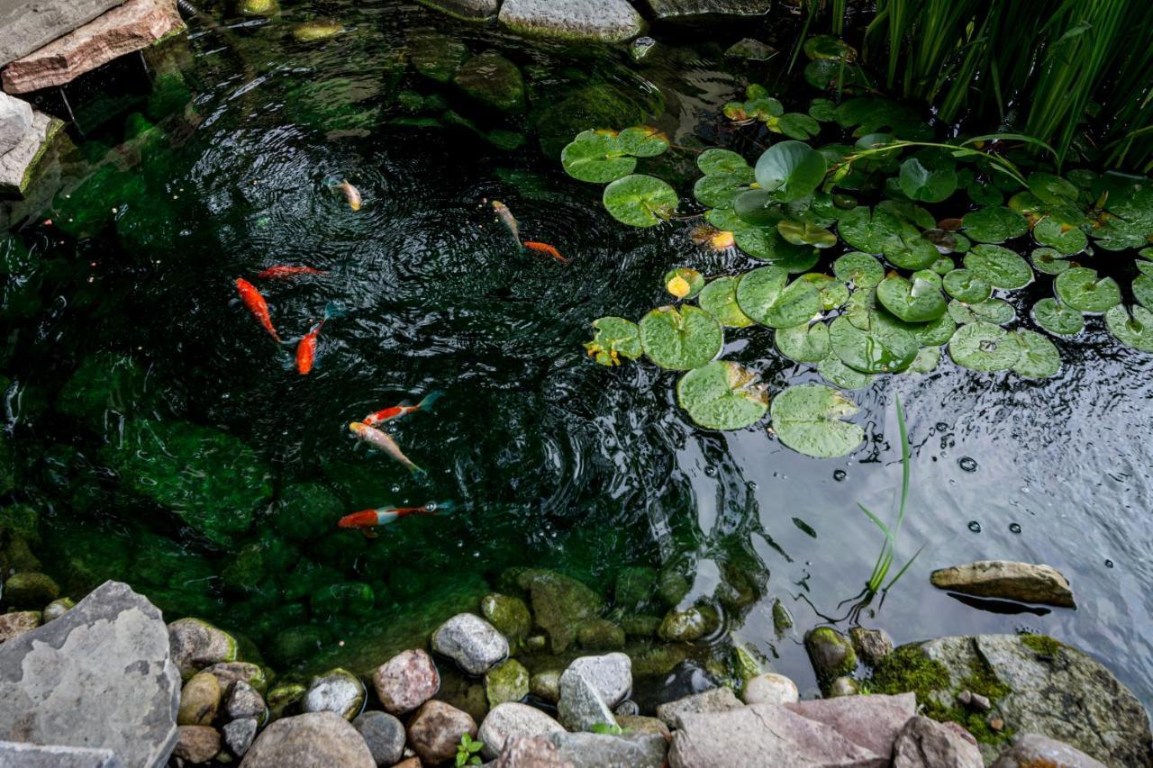 The Secret Garden Inn Кингстън Екстериор снимка